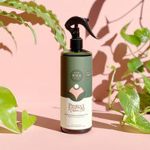 Load image into Gallery viewer, Essential Plant Care Kit | We the Wild