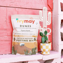 Load image into Gallery viewer, Cactus & Succulent Potting Mix | IvyMay Dunes