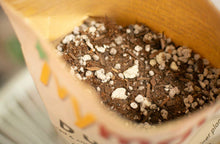 Load image into Gallery viewer, Cactus & Succulent Potting Mix | IvyMay Dunes