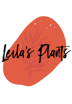 Leila’s Plants 